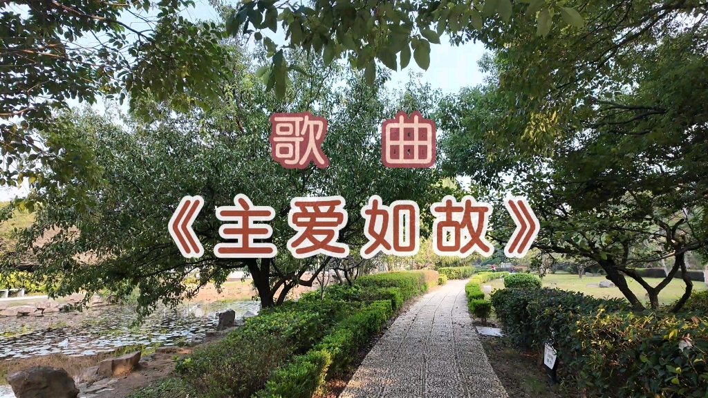 主爱如故的歌词图片