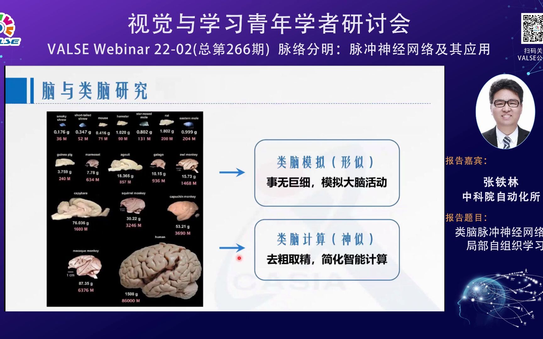 20220112【脉络分明:脉冲神经网络及其应用】张铁林:类脑脉冲神经网络的局部自组织学习哔哩哔哩bilibili