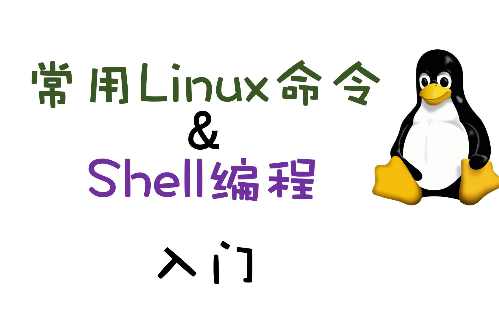 常用的Linux命令介绍:13个基本命令和Shell脚本编程