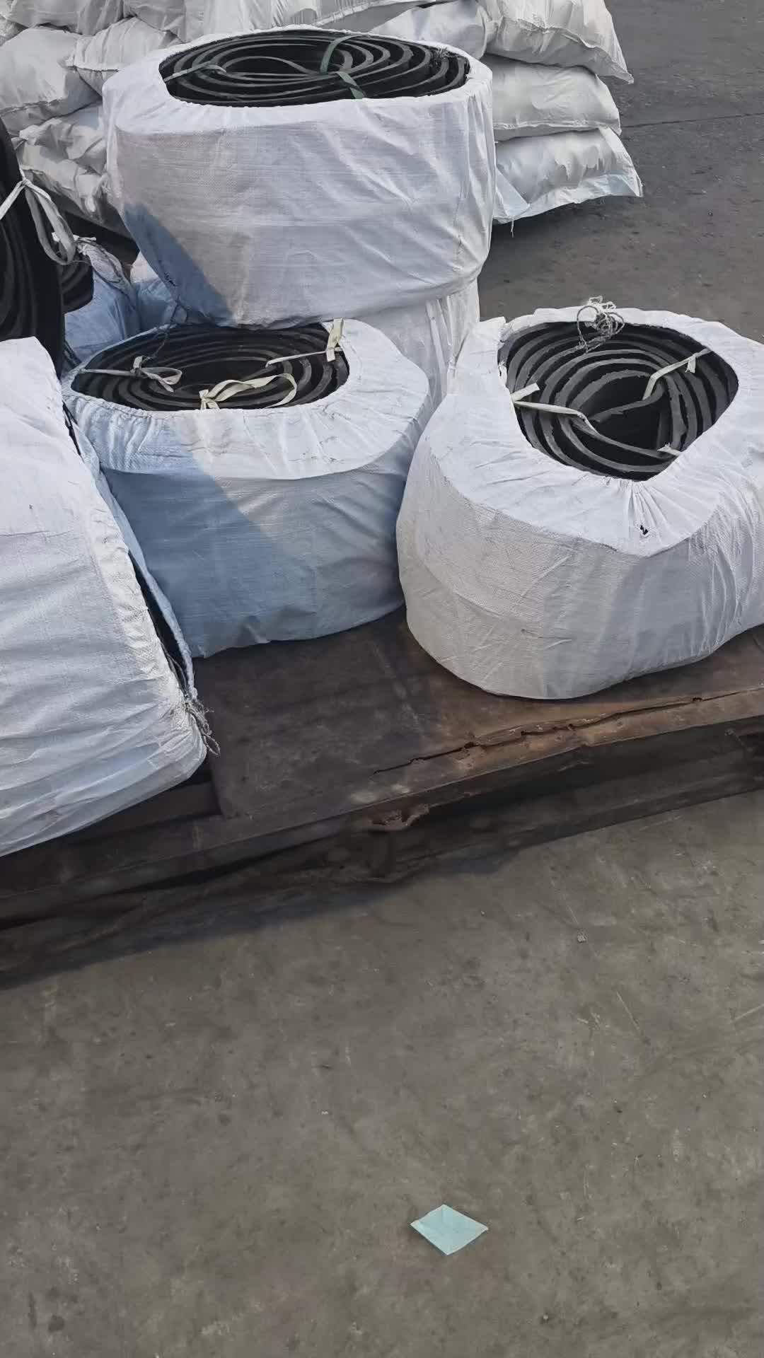 2025年重庆交通立异效果看这儿→