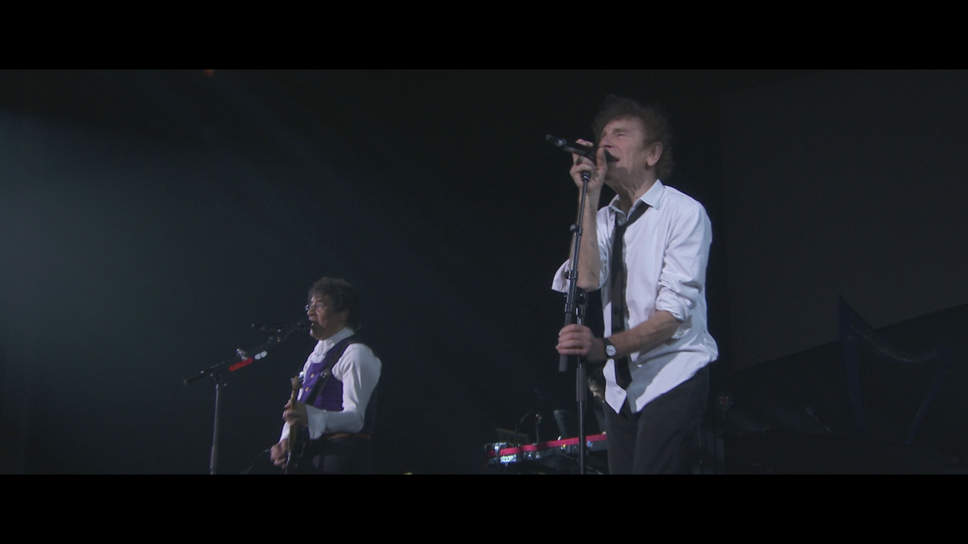 [图]La ballade de Jim (Live au Zénith de Paris 2015) - Alain Souchon&Laurent Voulzy