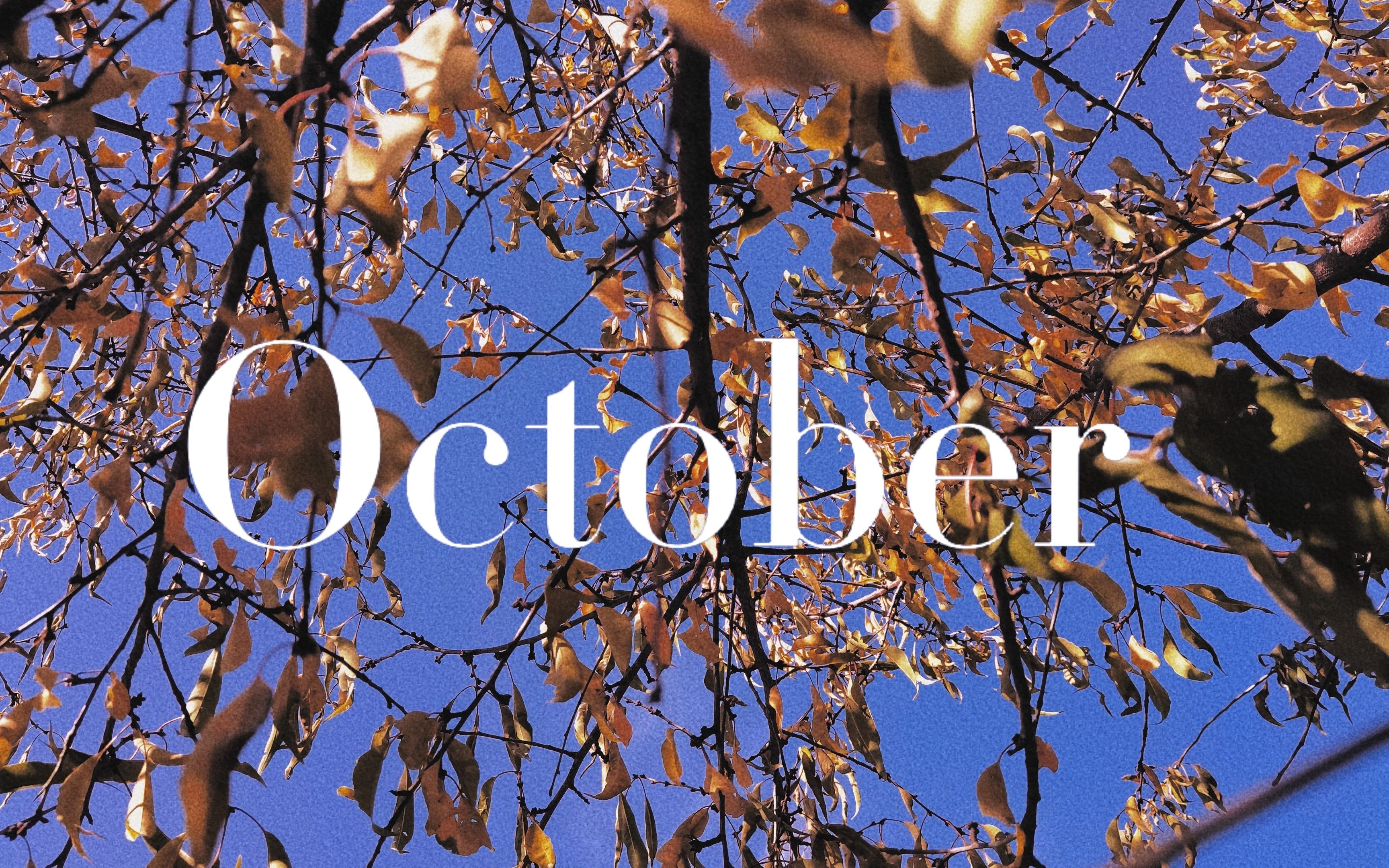 【october】十月vlog