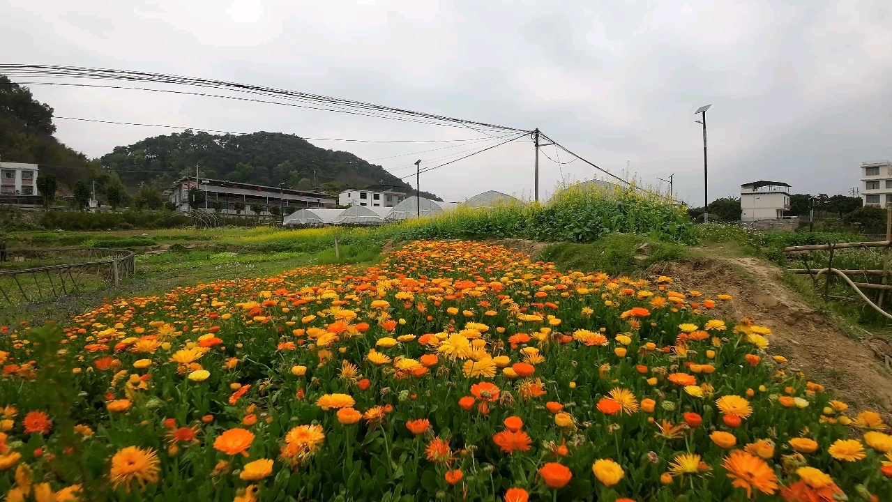 柳州环江村图片