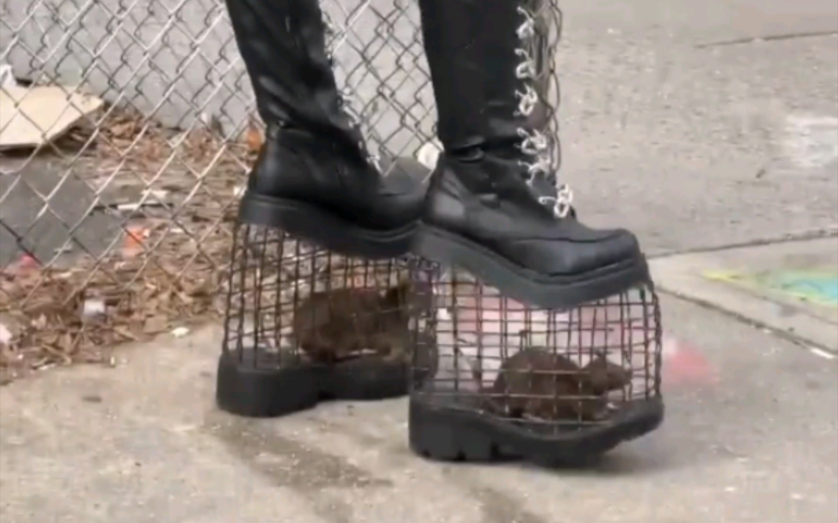 纽约潮流抽象单品 老鼠鞋 鼠鼠鞋