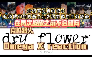 Download Video: 克拉路人因求安慰少年而知道这个团Omega x 《dry flower》reaction   深有感触歌词真的非常好