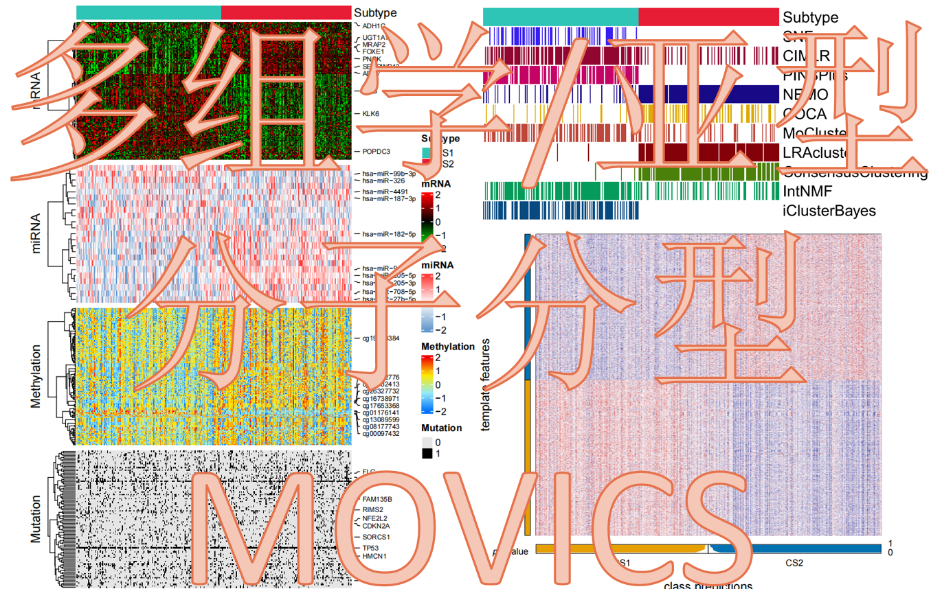 手把手教学/多组学/分子分型/亚型/MOVICS/数据分析/生物信息学哔哩哔哩bilibili