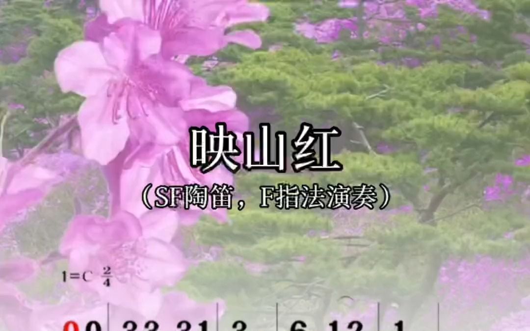 映山红,陶笛动态简谱