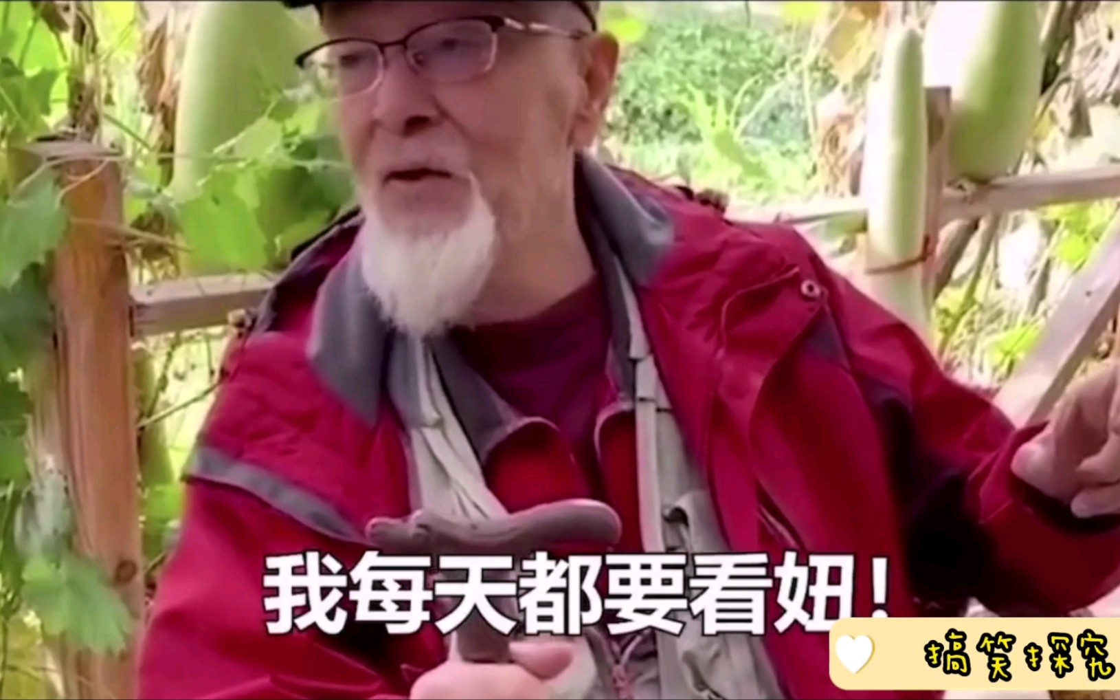 大爷:我每天都要看妞,不为别的,就为心情愉悦