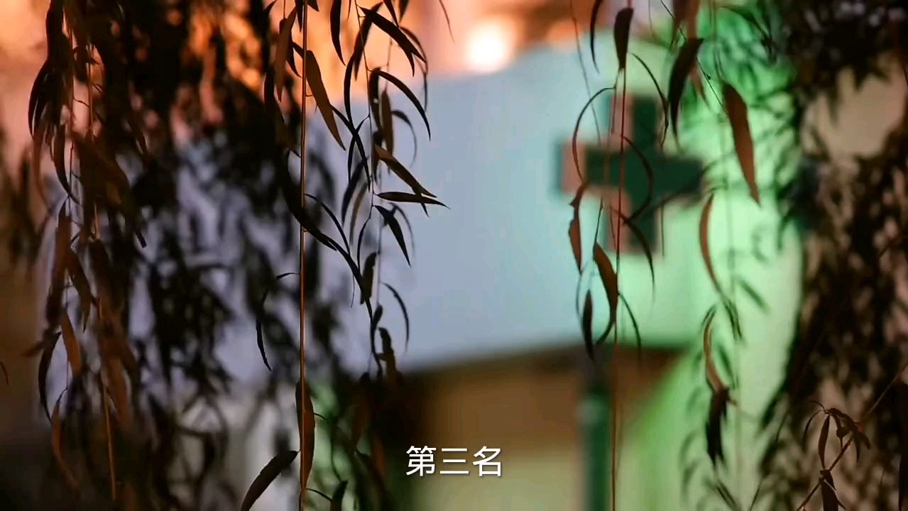 欲望强烈的原因排行榜哔哩哔哩bilibili