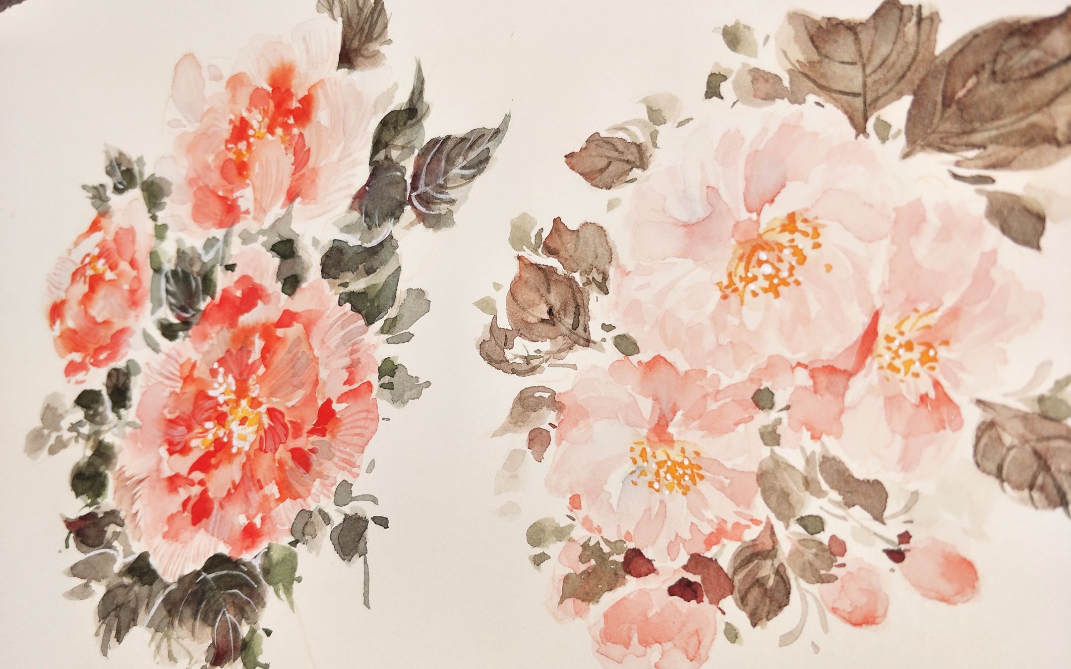 【新手向】水彩-教你糊一朵芙蓉花