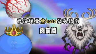 Download Video: 【泰拉瑞亚】肉前全boss召唤指南~