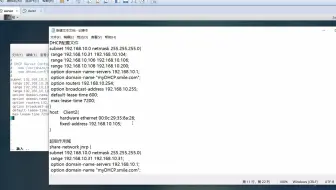 30_dhcp