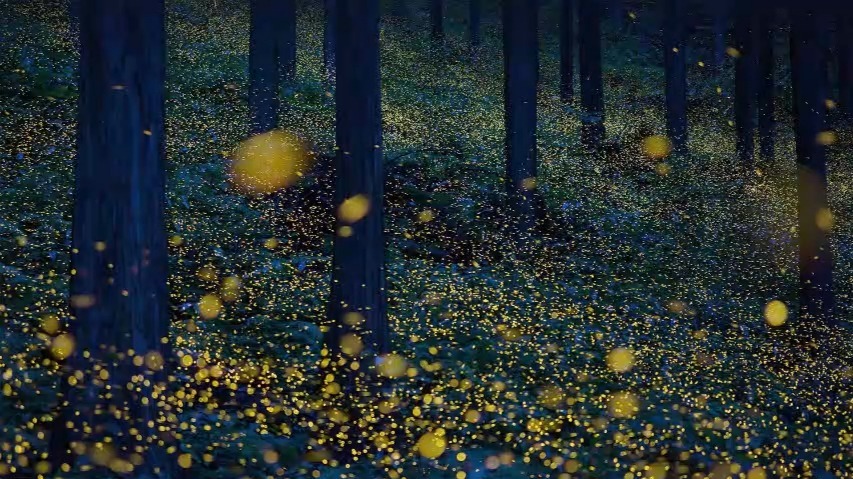 480pAIyinpin测试