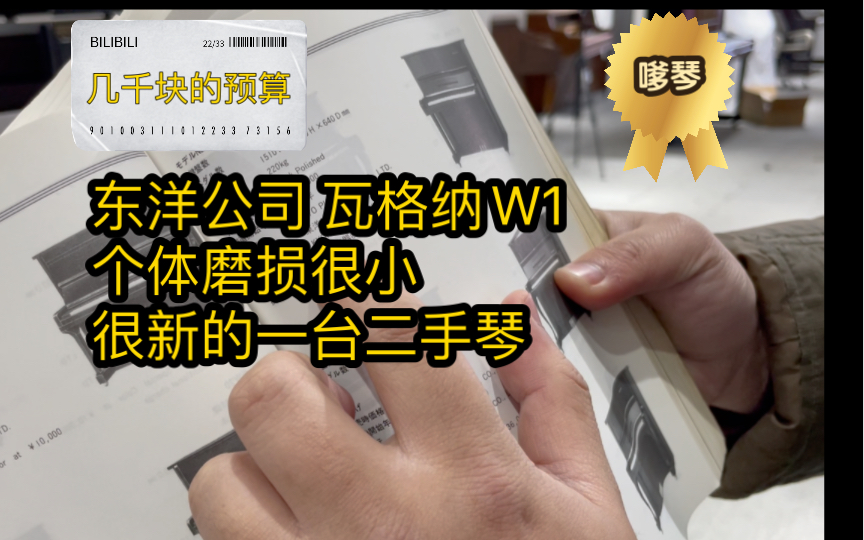 【一万以内予算】日本东洋公司制造的一台瓦格纳W1 很新磨损很小哔哩哔哩bilibili