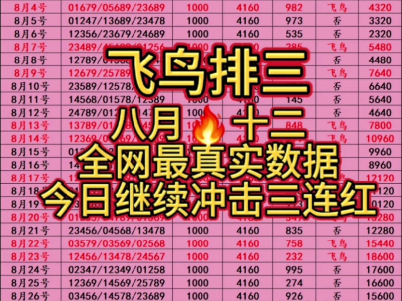 9.8号飞鸟排三,最真实数据,八月红十二,九月继续努力,今日计划已出,继续冲连红!哔哩哔哩bilibili