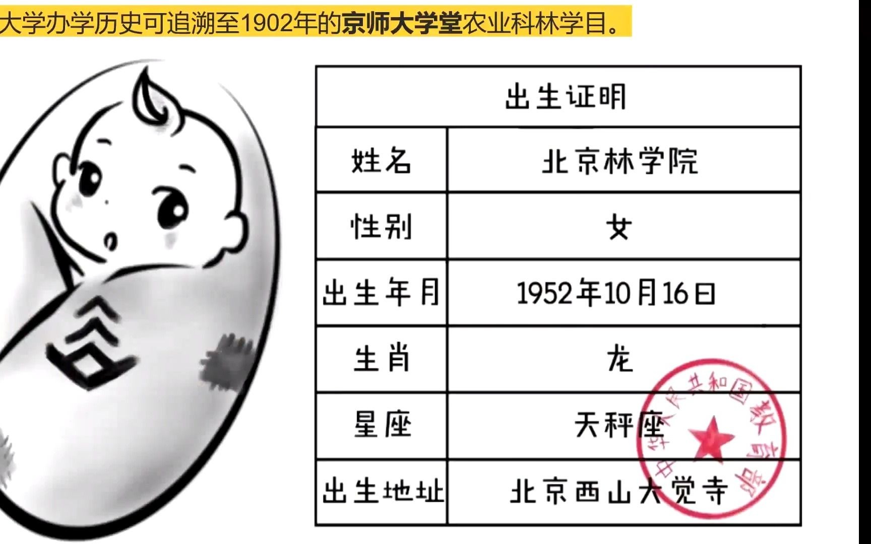 心烛青年名校分享会 | 北京林业大学站 | 主讲人:忻雨思哔哩哔哩bilibili