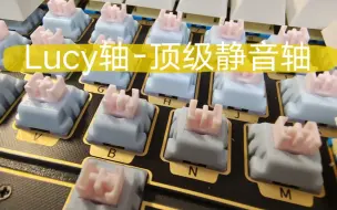 Télécharger la video: 顶级静音轴-Lucy轴，声音似马蹄踏雪，手感如丝般顺滑｜踩雪音的新选择｜Lucy轴+RS2打字音留声