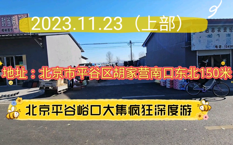 2023.11.23(上部)北京平谷峪口大集疯狂深度游,一起传播正能量哔哩哔哩bilibili