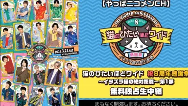 猫のひたいほどワイド-哔哩哔哩_Bilibili