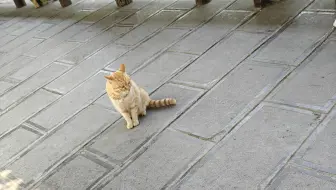 天门山之行