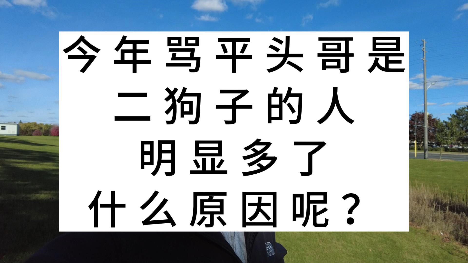 今年骂平头哥是二狗子的人,明显多了,什么原因呢?哔哩哔哩bilibili