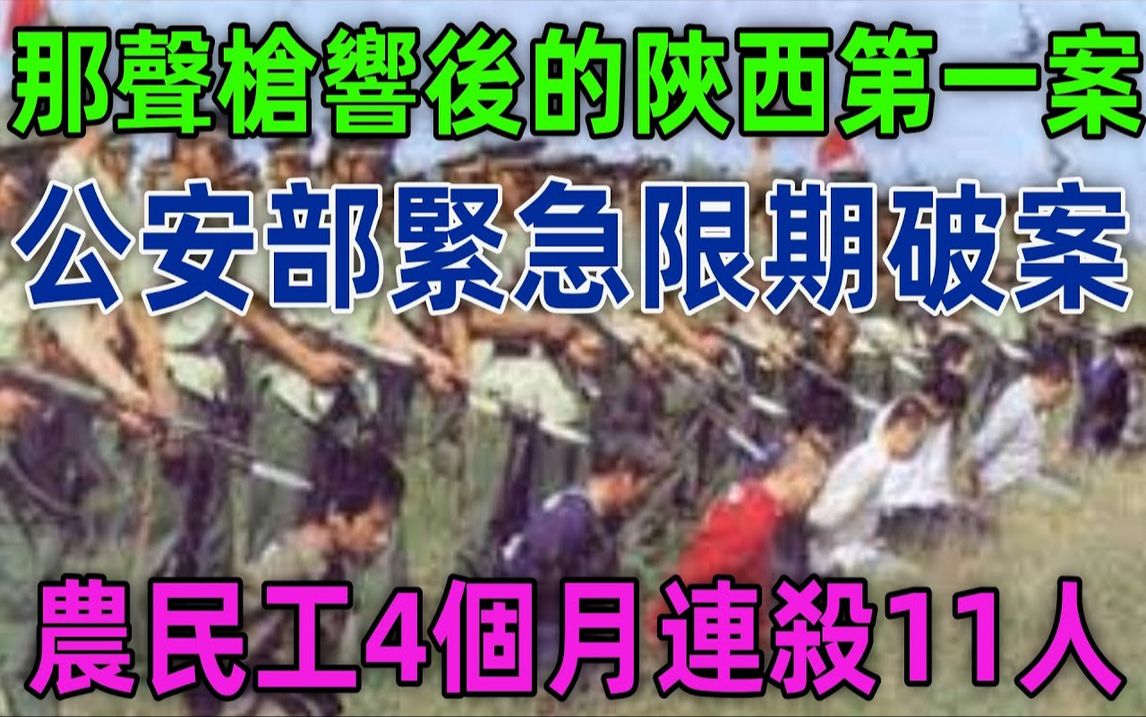 那声枪响后的陕西第一案!公安部紧急限期破案!农民工4个月连杀11人!哔哩哔哩bilibili