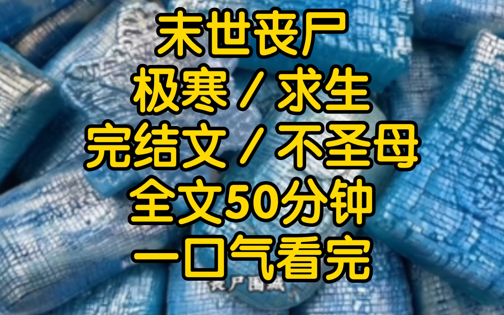 继承了父母的遗产后,我逃到了一个陌生城市,开启了蜗居生活,本意是不让那些心怀叵测之人找到我,没想到遇上极端天气就算了,又偏偏赶上末日降临,...