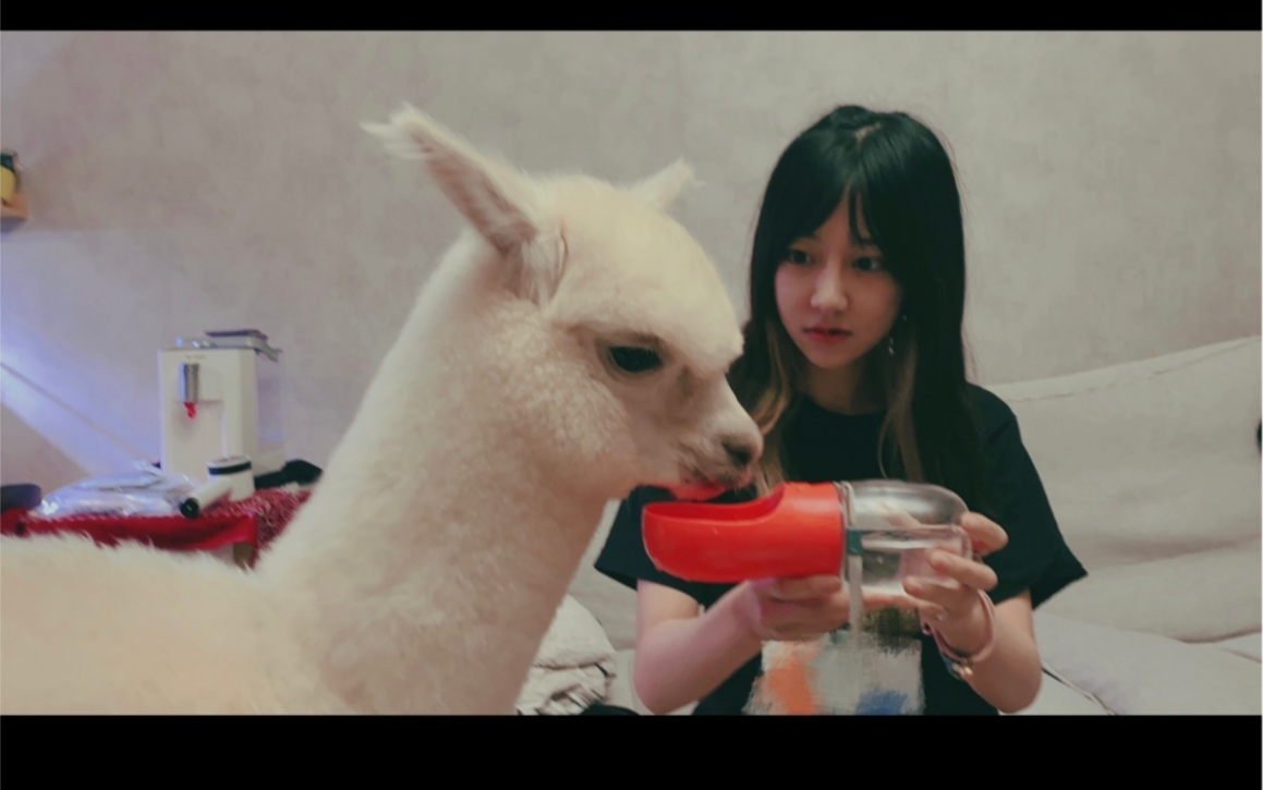 小冯2021703的直播part1