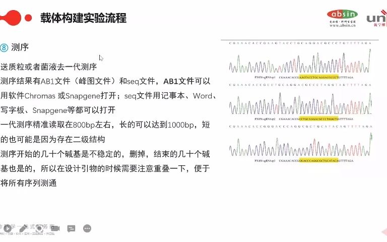 载体构建实验流程测序哔哩哔哩bilibili