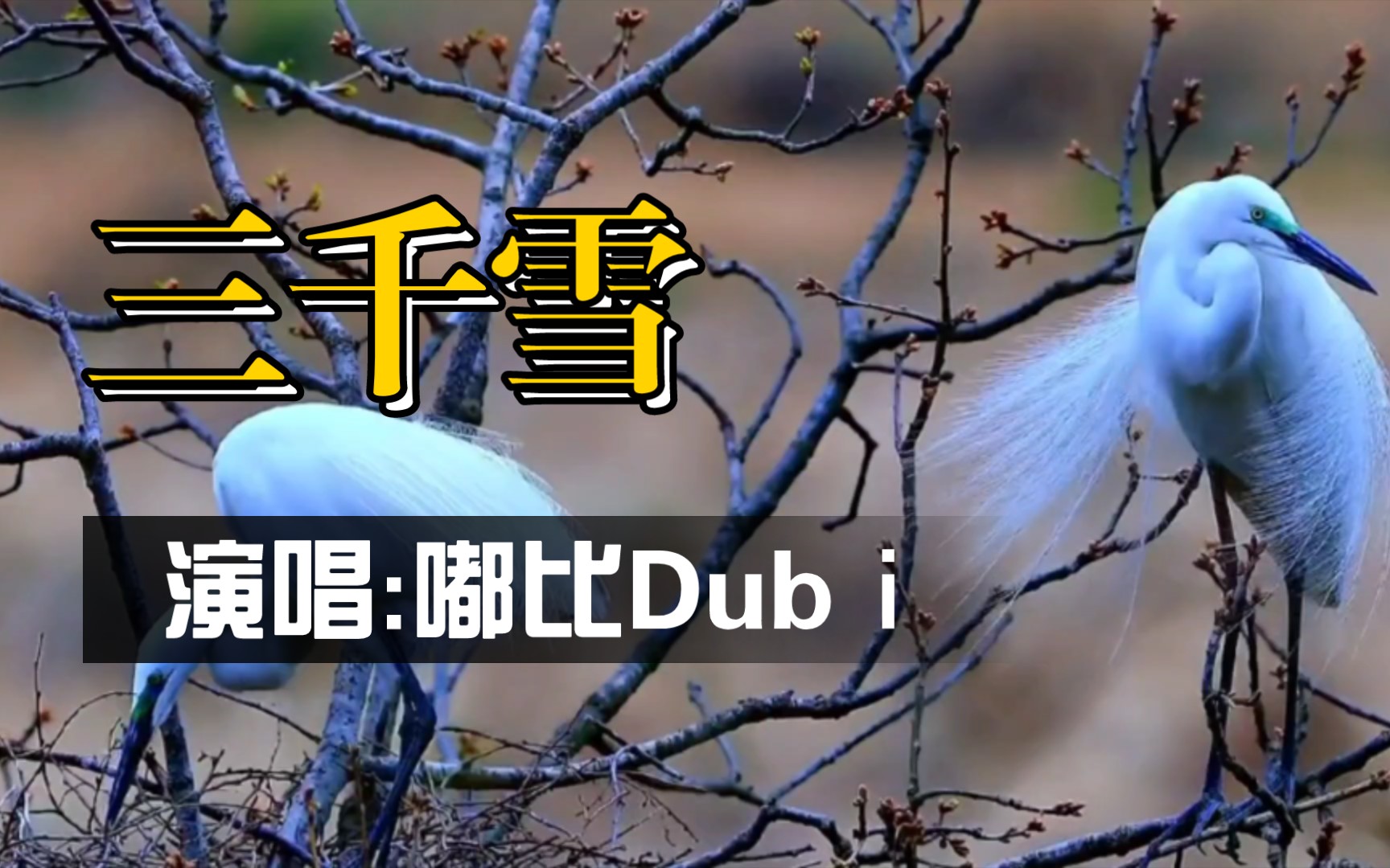 嘟比Dubⅰ演唱《三千雪》无山得似巫山好,何水能如河水清哔哩哔哩bilibili