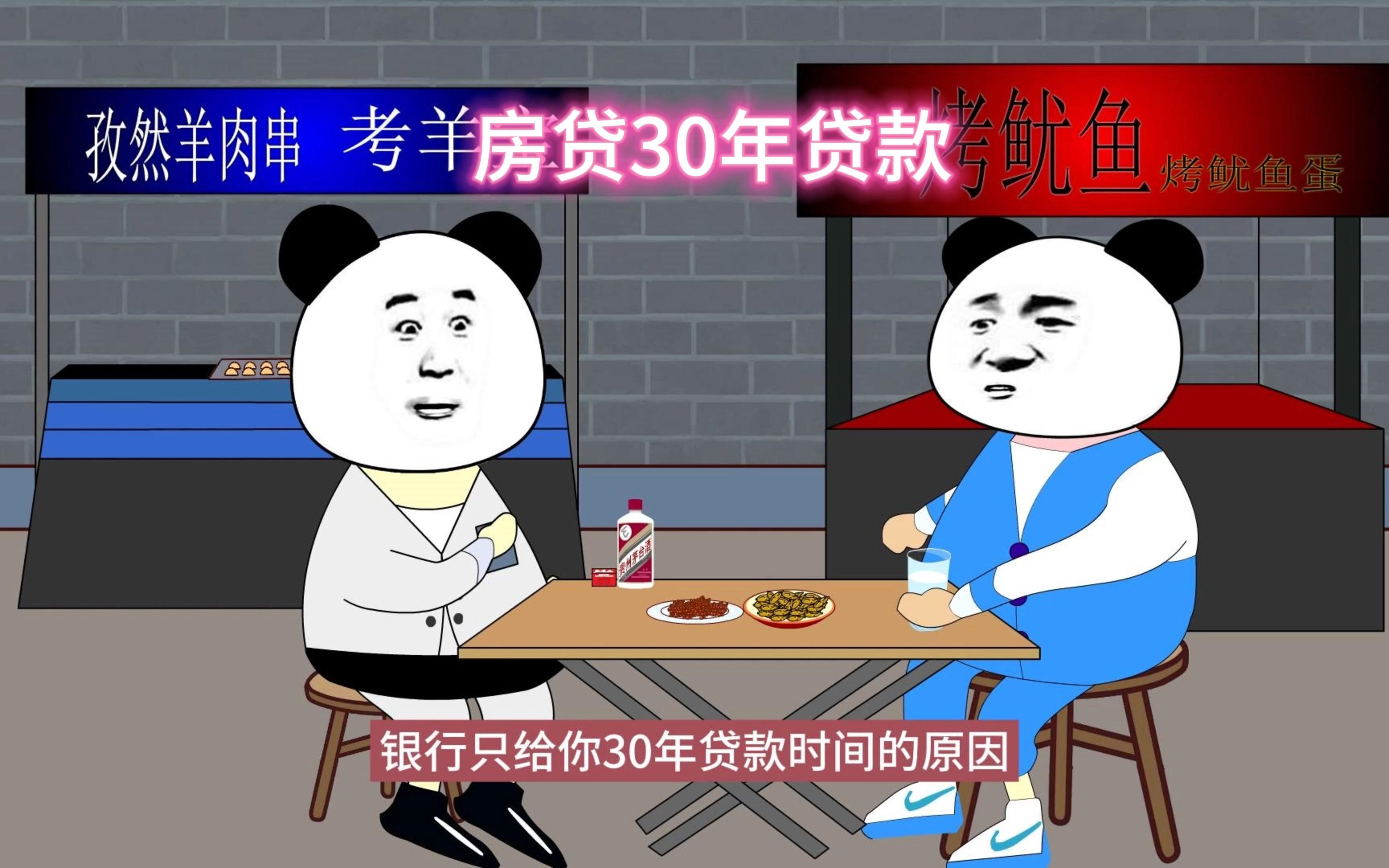 为何房贷只有30年贷款?哔哩哔哩bilibili