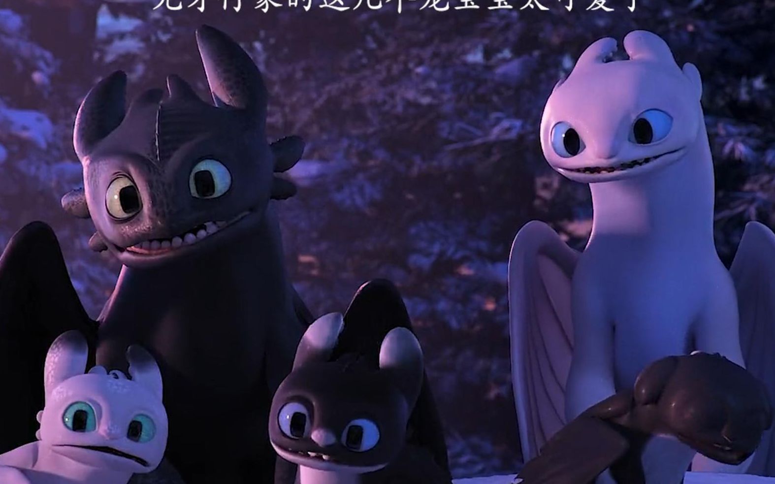 明明光煞这么优雅,感情三小只一点也没继承到!