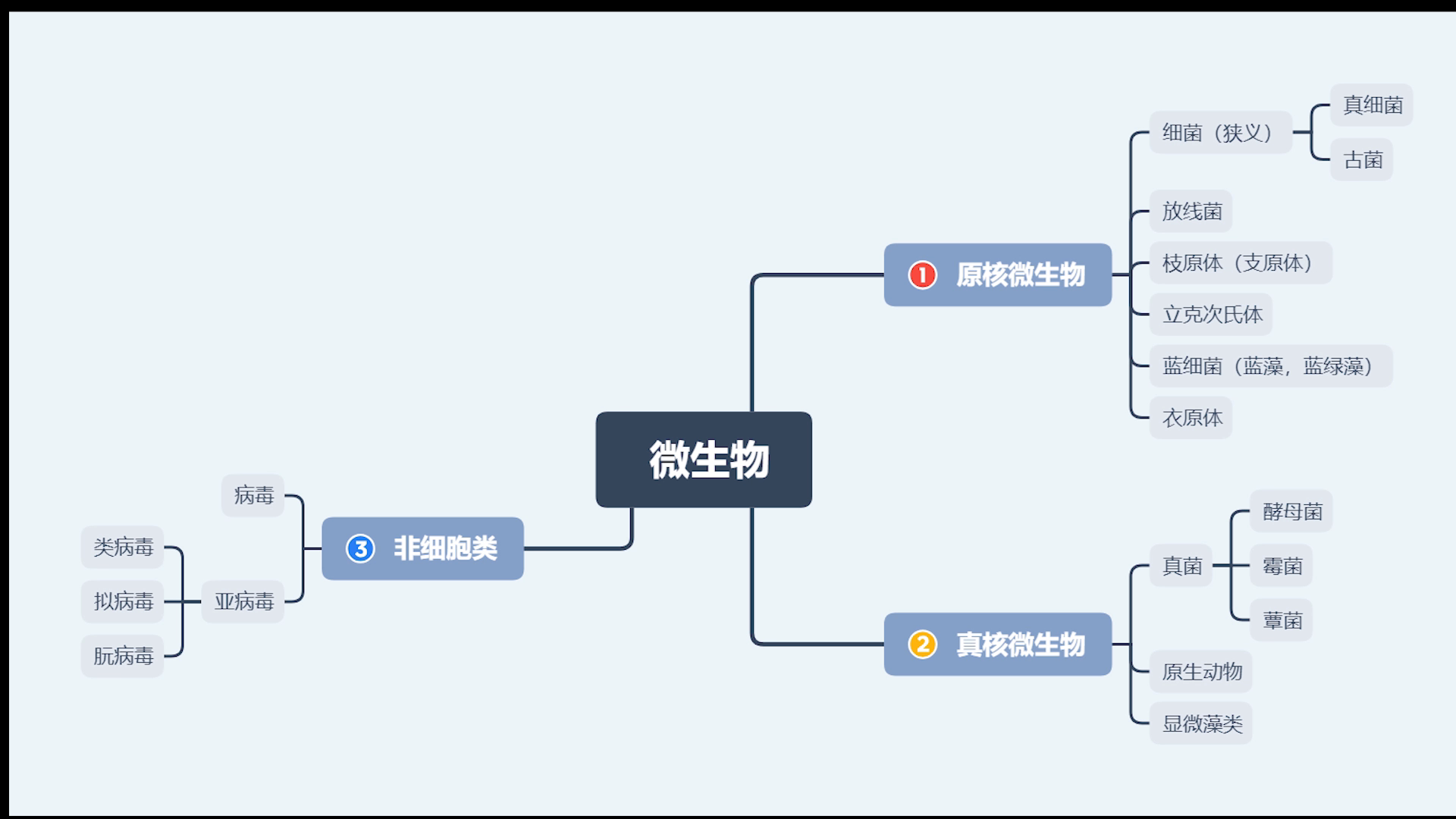 活动作品生物专业的卑微人微生物的思维导图