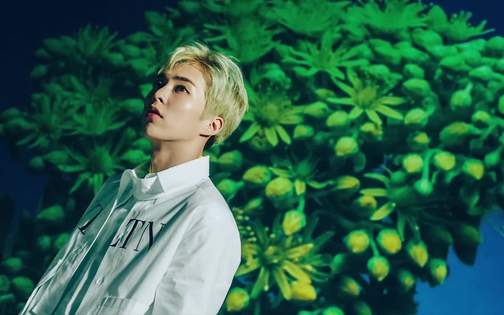 【exo-cbx】疯狂变装的花曜日现场超仙混剪 1080p 60fps