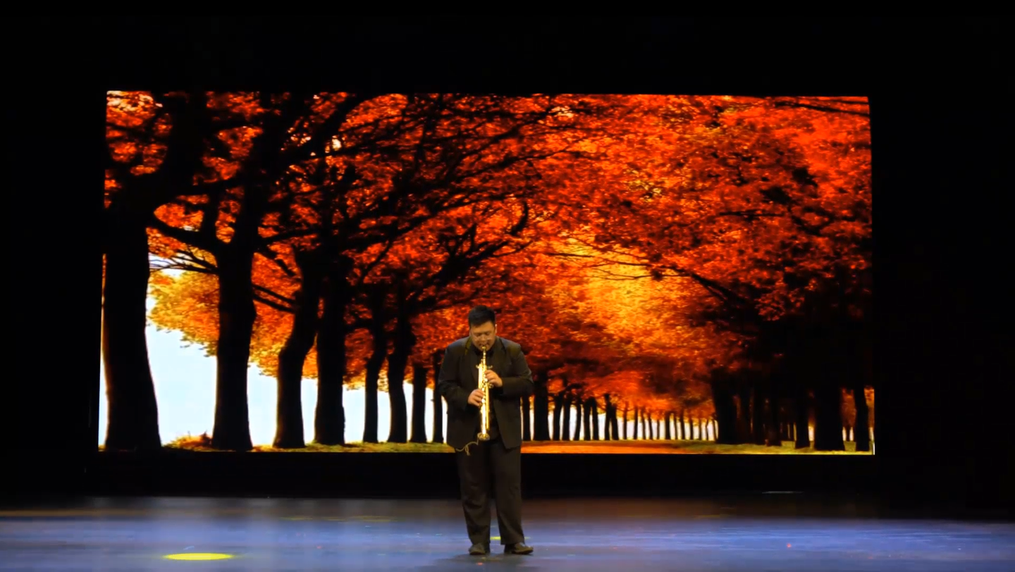 凯丽金《回家》片段