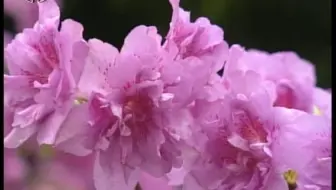 2012年