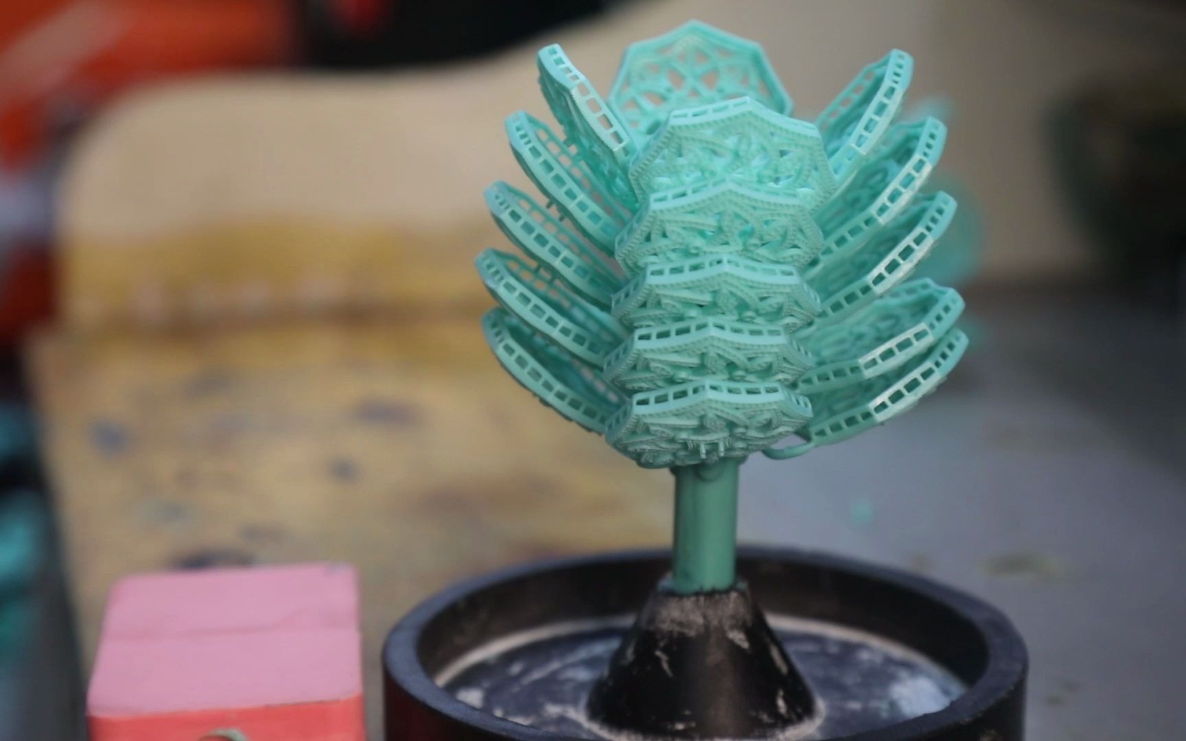 种蜡树就得 看得准,下手稳_哔哩哔哩 (゜-゜)つロ 干杯~-bilibili