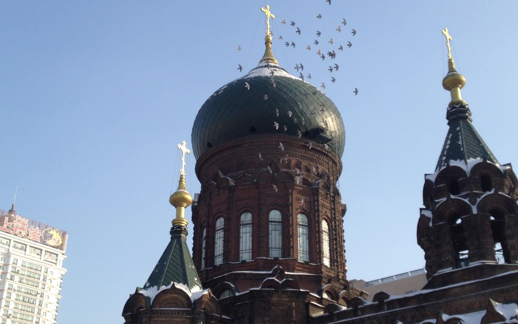 哈尔滨 圣索菲亚大教堂,鸽子环绕飞行
