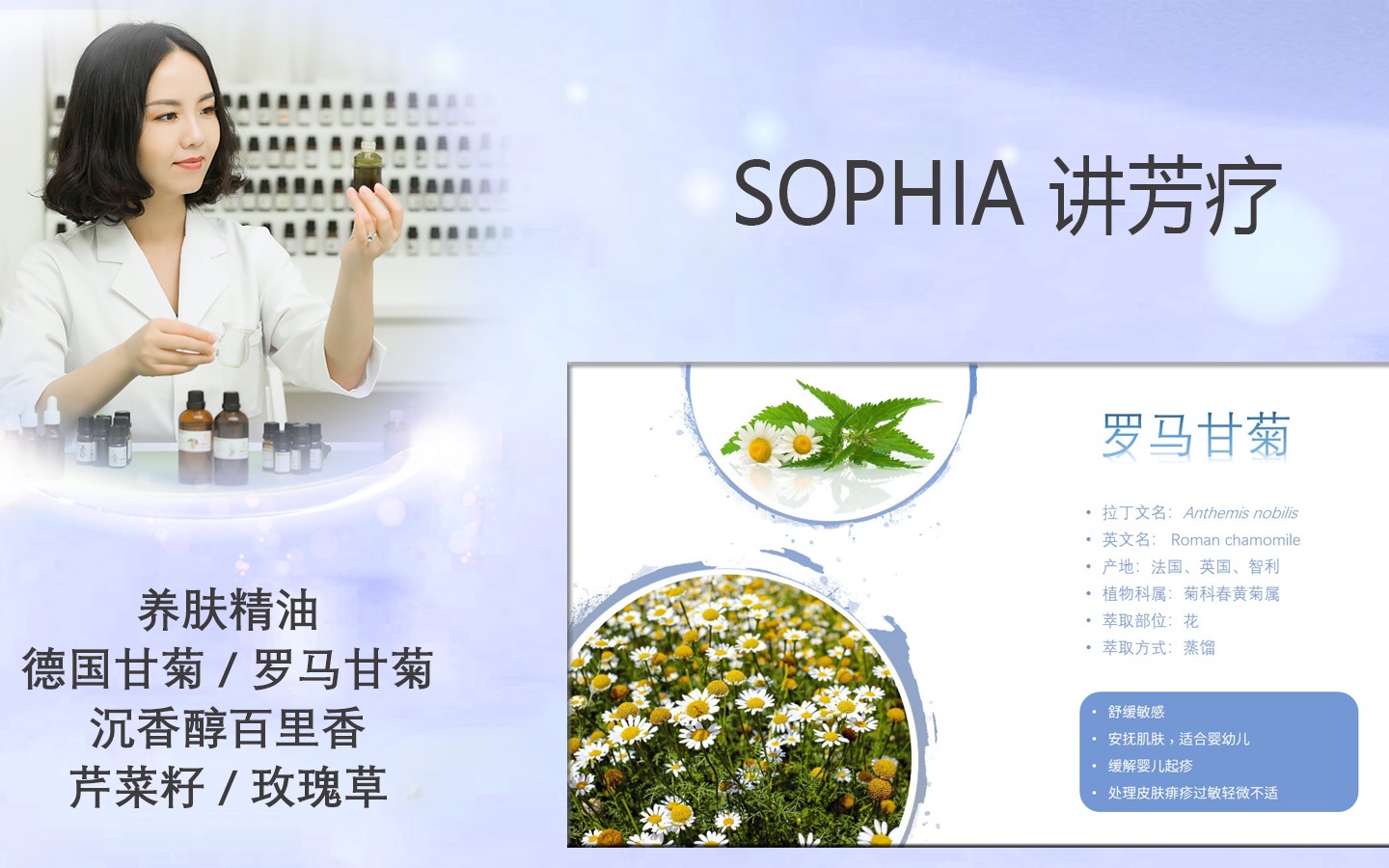 【芳灸儿】导师 SOPHIA讲芳疗50:养肤精油德国甘菊/罗马甘菊/沉香醇百里香/芹菜籽/玫瑰草哔哩哔哩bilibili