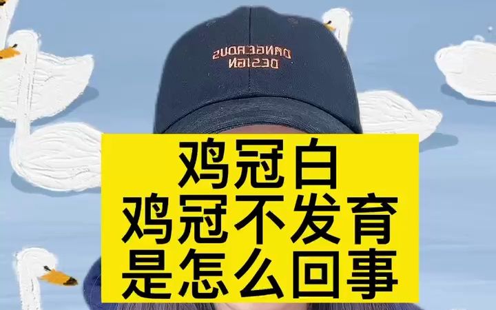 鸡冠由红变白是什么原因鸡冠子上面一层白霜鸡的鸡冠发白是什么原因鸡的鸡冠不发育是什么原因造成的鸡的鸡冠什么时候开始发育哔哩哔哩bilibili