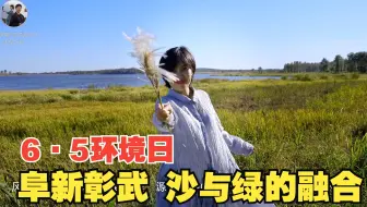 6·5环境日 阜新彰武 沙与绿的融合