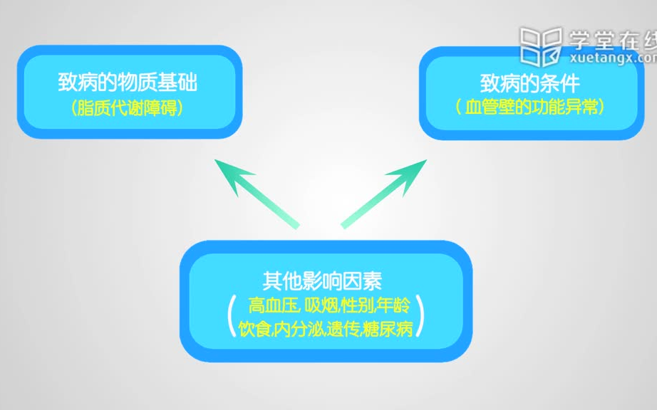 动脉粥样硬化的危险因素与发病【走进医学】哔哩哔哩bilibili