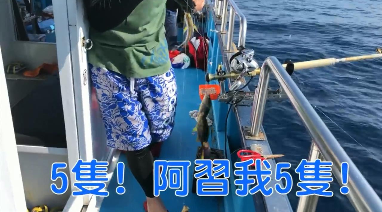 串钩诱饵笼钓组爆钓黄鸡鱼,鱼一条接一条,排着队上钩!