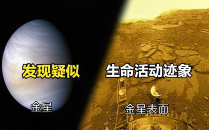 [图]金星真的存在生命？科学家在金星大气层中，探测到疑似生命的迹象