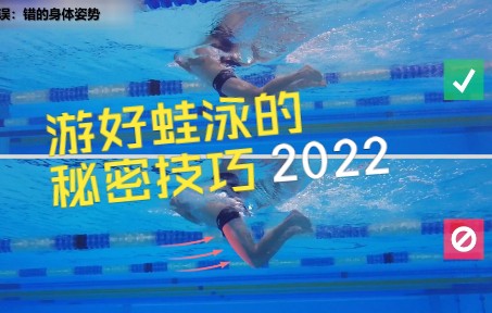 游好蛙泳的秘密技巧(2022)哔哩哔哩bilibili