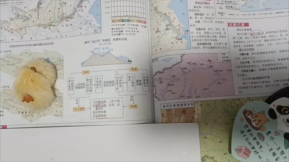 【高考地理】黄河“地上河”成因、危害,怎么治理?哔哩哔哩bilibili