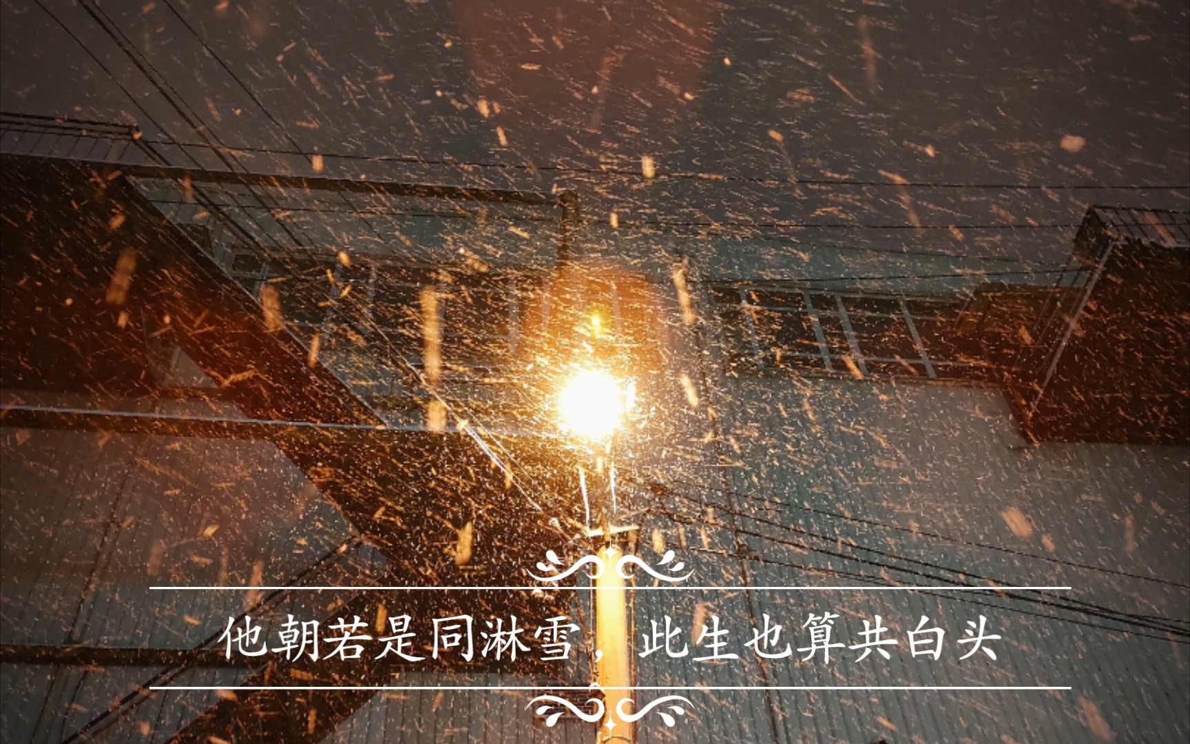 他朝若是同淋雪,此生也算共白头