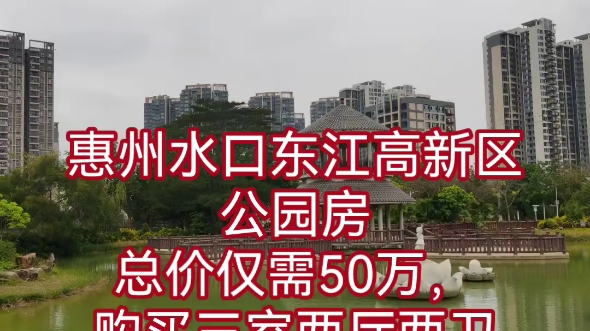 惠州水口东江高新区公园房总价仅需50万,购买三室两厅两卫,早上可以来公园晨练,吃饱了可以来公园消食,晚上可以来公园遛弯,好惬意.哔哩哔哩...