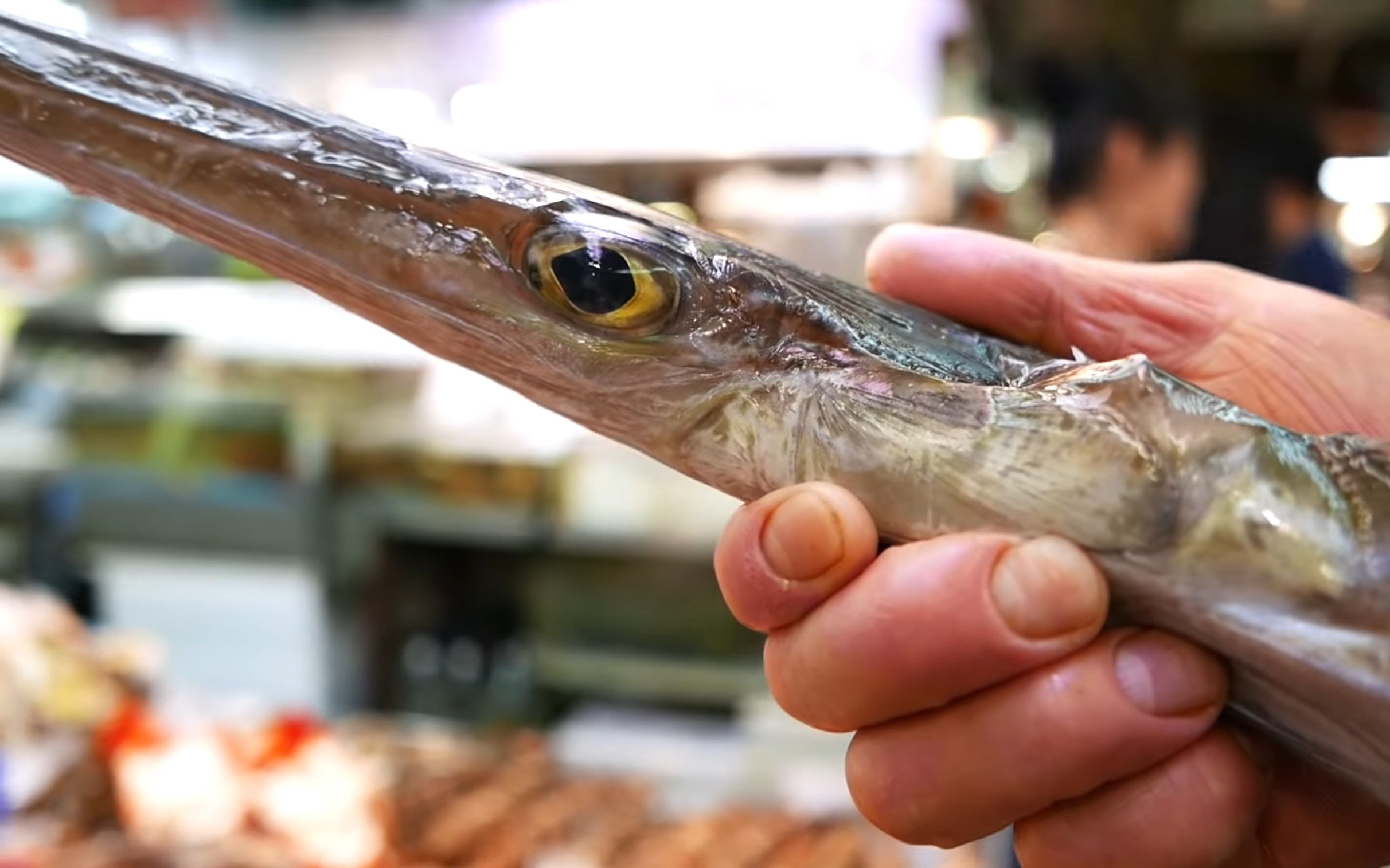 日本路边美食-喇叭鱼_哔哩哔哩_bilibili