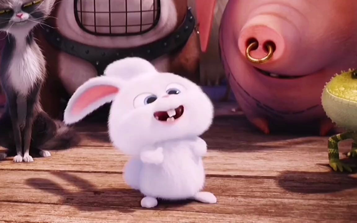 【爱宠大机密2】老大是不需要对暗号的!_哔哩哔哩_bilibili